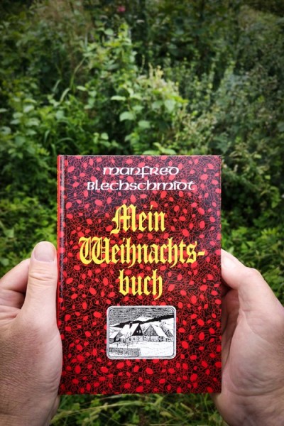 Mein Weihnachtsbuch: Von Wald, von schneebedeckten Dörfern und der Adventszeit