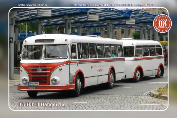 Blechschild Bus Nr.8 "IFA H 6 B Hängerzug"